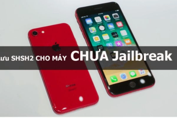 Lưu SHSH2 Dành Cho Máy Chưa Jailbreak 11