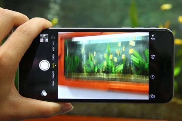 hinh-anh-hien-thi-tren-camera-iphone11-pro-max-bi-rung