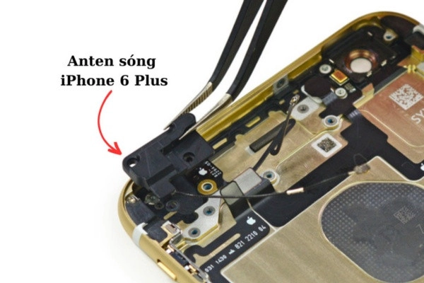 Anten sóng của 6 plus