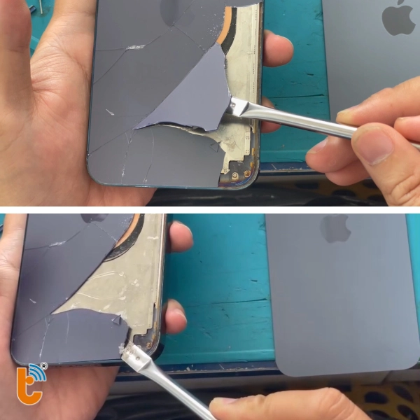 tắch mặt kính lưng