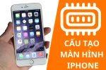 Cấu tạo màn hình iphone, những lưu ý bạn cần biết về màn IP