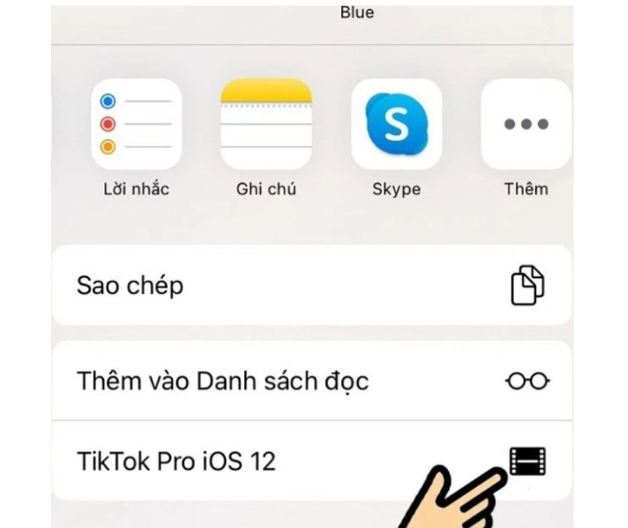 Chọn mục TikTok Pro iOS 12 
