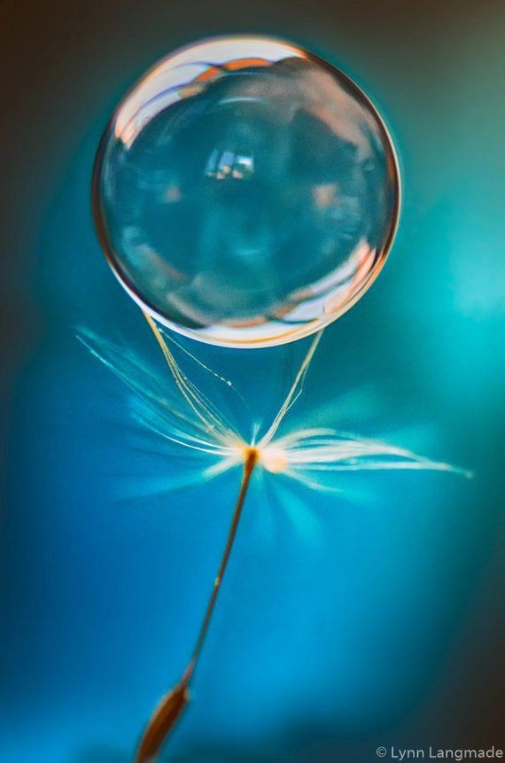 hinh-nen-oppo-boconganh