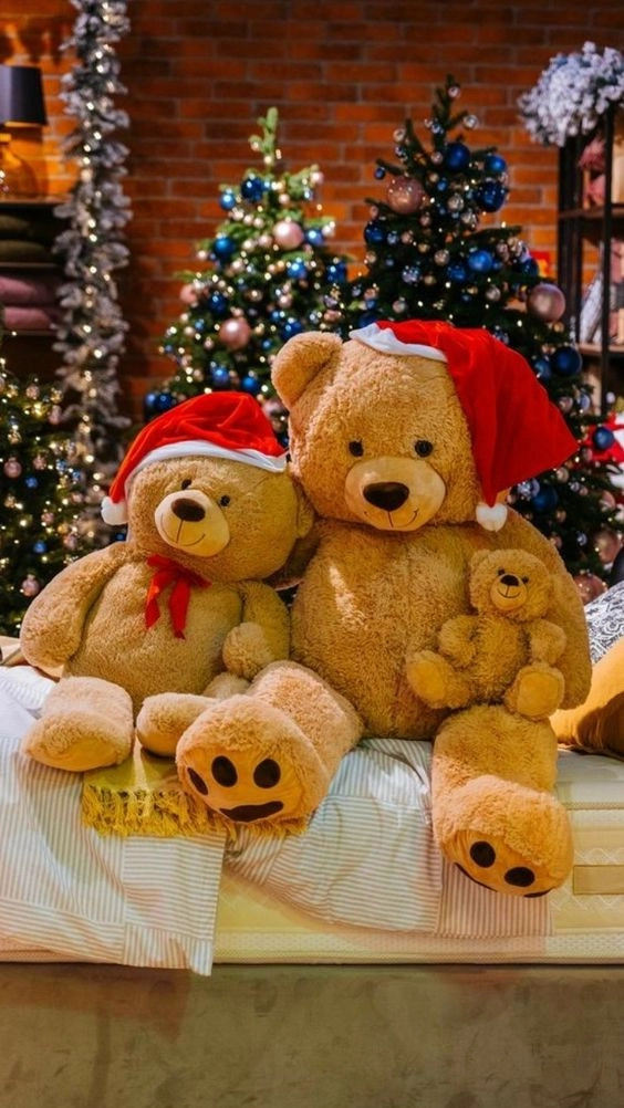 Gia đình nhà gấu