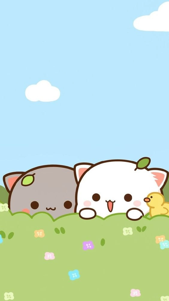 Hình nền ipad 2 mèo dễ thương