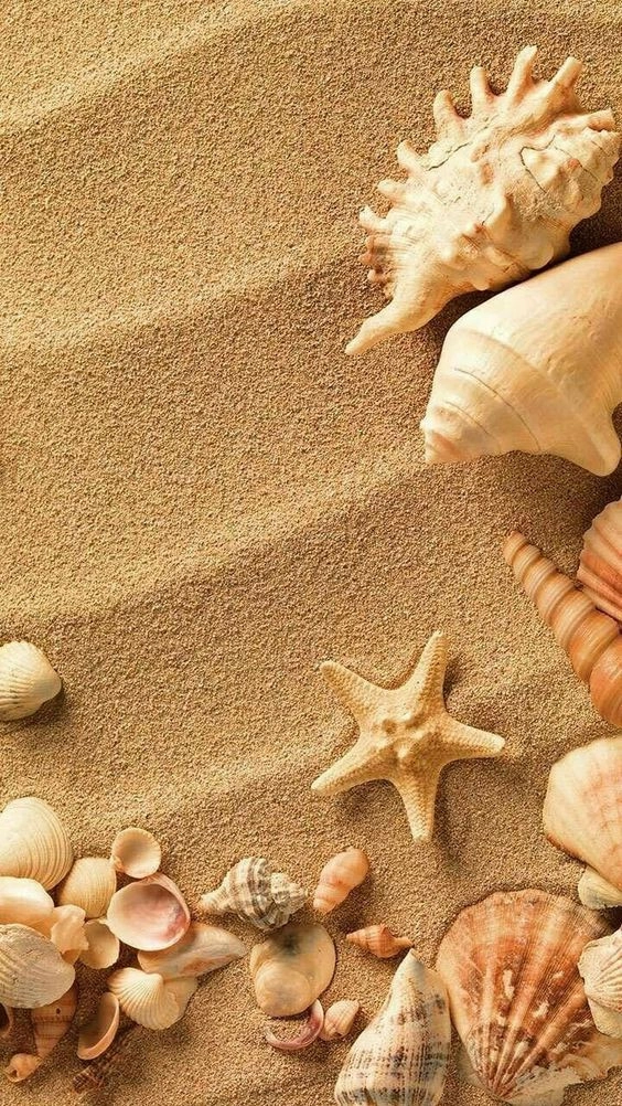 hình nền iphone5 5