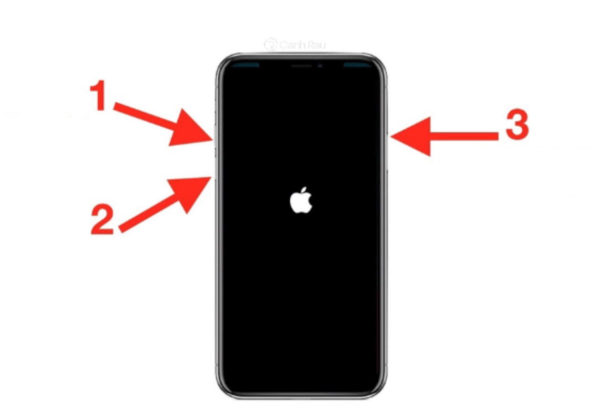 iphone x bị sọc màn hình 2