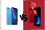 So sánh màn hình iPhone Xr và iPhone 8 Plus
