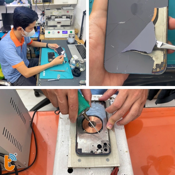 tách vỏ và keo trên sườn