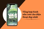 50+ Hình nền cute cho điện thoại cảm ứng mà bạn không thể bỏ lỡ