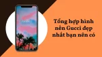 Hình nền Gucci dành cho máy tính và điện thoại cực chất