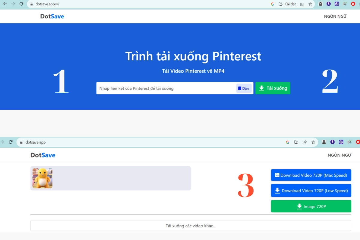 Tải video trên Pinterest trên DotSave
