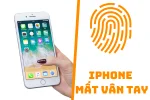Những điều cần biết về vân tay iPhone - iPhone mất vân tay có sửa được không?