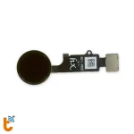 thay-cam-bien-van-tay-iphone-8-plus-3