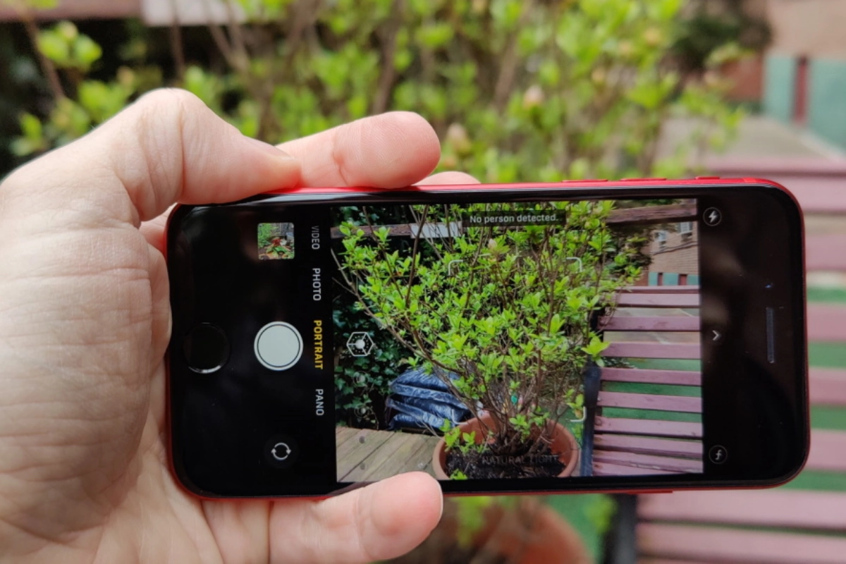 Hình ảnh từ camera sau iPhone SE 2020