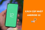 Hướng dẫn cách cập nhật Android 12 trên Samsung, Oppo, Xiaomi