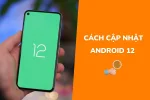Hướng dẫn cách cập nhật Android 12 trên Samsung, Oppo, Xiaomi