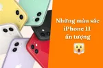 Khám phá bảng màu sắc iPhone 11 cá tính và thời thượng