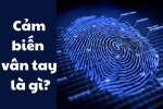 Cảm biến vân tay là gì và những kiến thức căn bản cần biết
