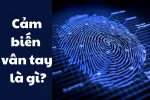 Cảm biến vân tay là gì và những kiến thức căn bản cần biết