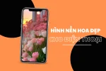 60+ Hình nền hoa đẹp cho điện thoại 4K, tải miễn phí