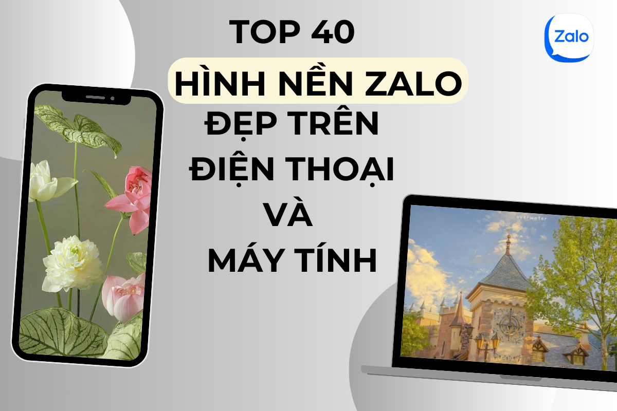 Điểm danh top 40 hình nền Zalo đẹp trên điện thoại và máy tính
