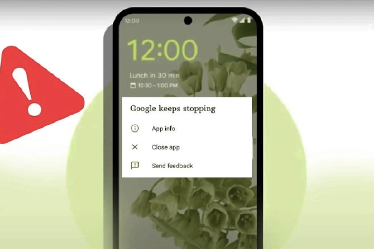 Lỗi do chính bản thân ứng dụng