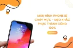 Màn hình iPhone bị chảy mực - Mẹo khắc phục thành công 100%