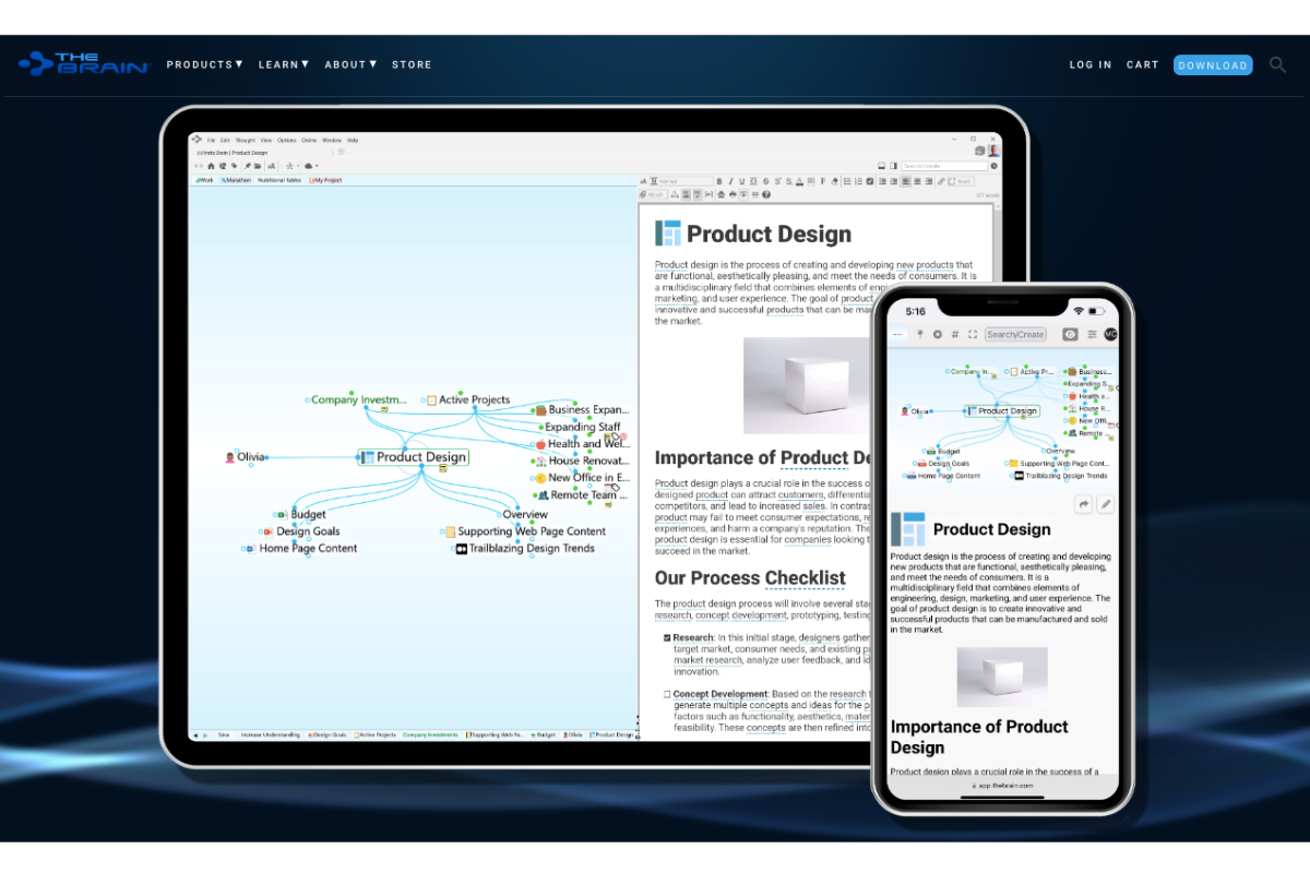 Phần mềm The Brain