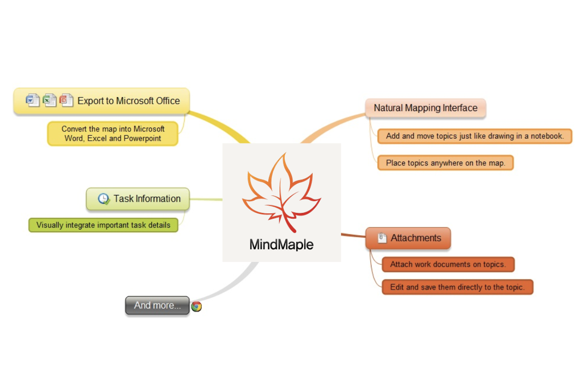 Phần mềm Mindmaple