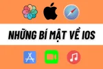 Hệ điều hành iOS là gì? Lịch sử phát triển của hệ điều hành iOS.