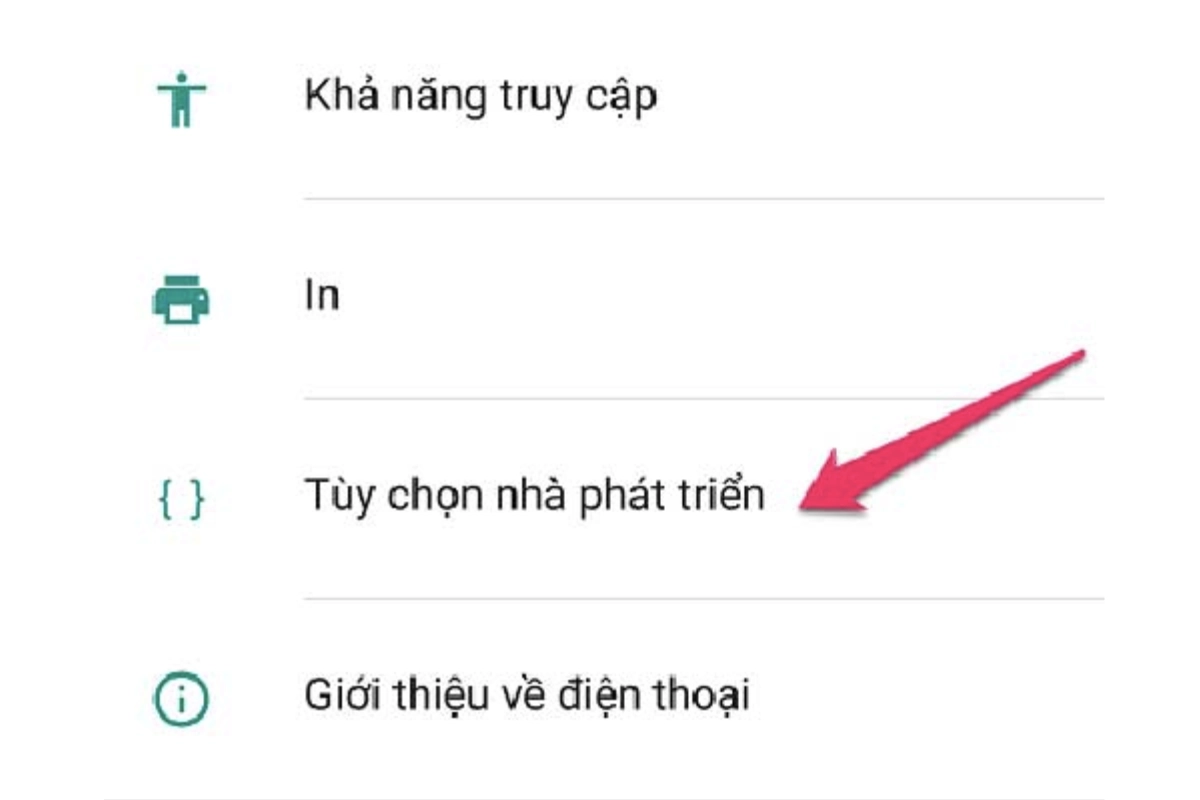 Tuỳ chọn nhà phát triển
