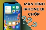 Màn hình iPhone bị chớp - Cách khắc phục đơn giản