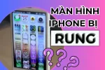 Bật mí cho bạn cách sửa lỗi màn hình iPhone bị rung nhanh chóng