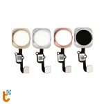 Sửa lỗi vân tay iPhone 6s | 6s Plus