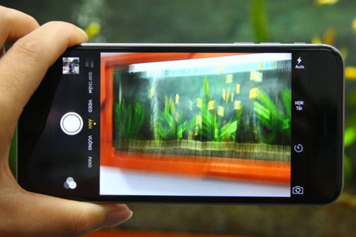 iPhone 11 lỗi camera sau