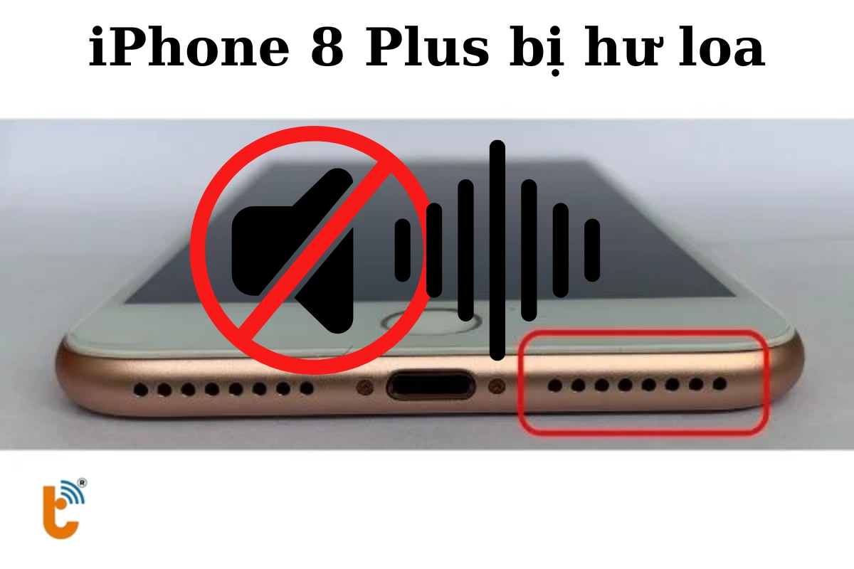 iPhone 8 Plus bị hư loa ngoài