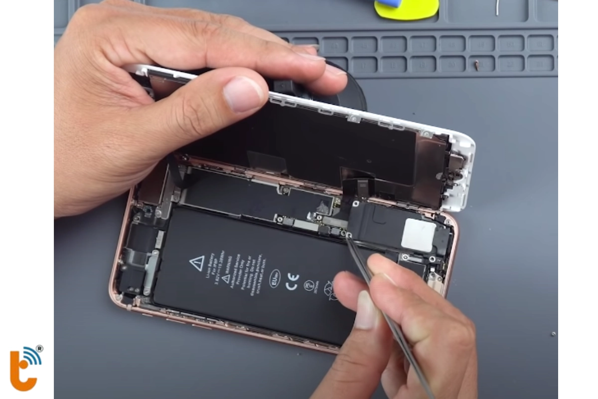 Thay loa ngoài iPhone 8 Plus