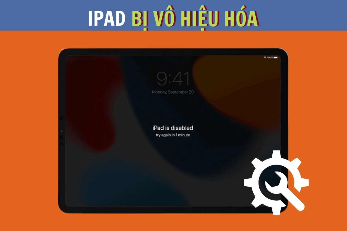 loi-ipad-bi-vo-hieu-hoa-anh-gioi-thieu.png