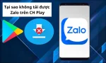 Tại sao không tải được Zalo trên CH Play và cách khắc phục