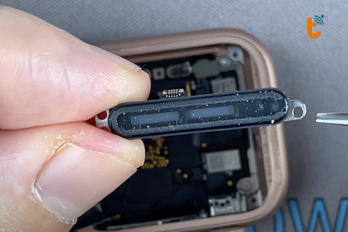 Thay loa Apple Watch Series 5 mới