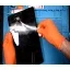 thay-mat-kinh-ipad-gen-9-moi