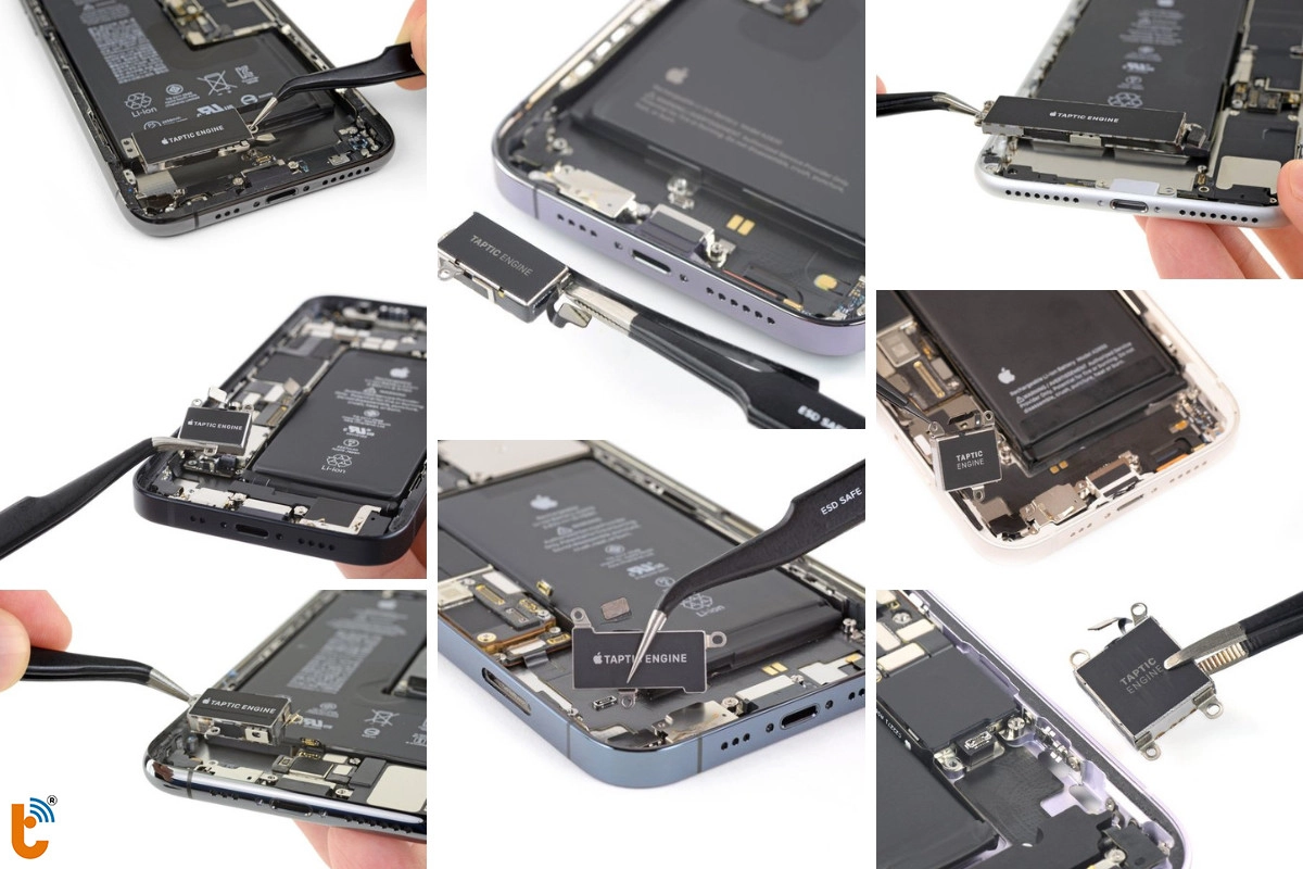 Thay, sửa rung iPhone chính hãng