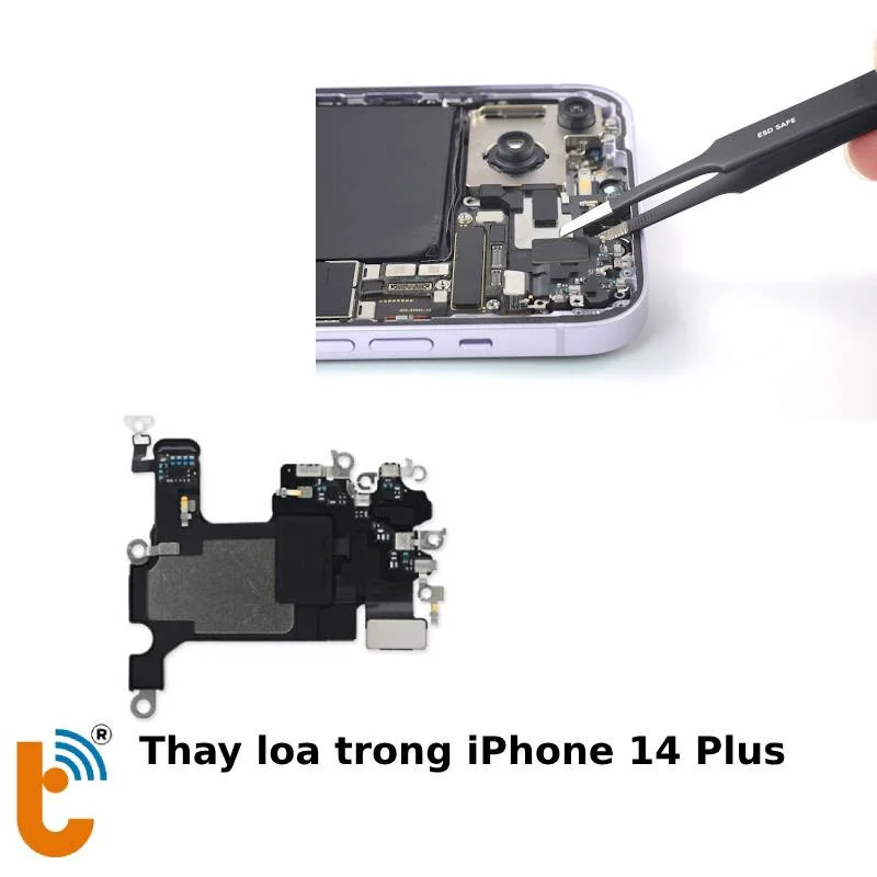 Thay loa trong iPhone 14 Plus chính hãng tại Thành Trung Mobile