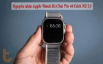 Apple Watch bị chai pin: Nguyên nhân & Giải pháp tối ưu
