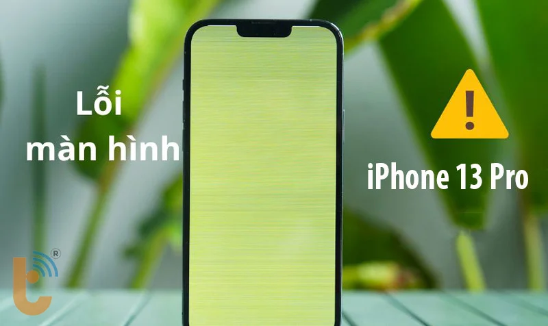 Hiểu về lỗi màn hình trên điện thoại iPhone 13 Pro