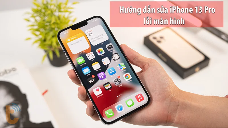 Hướng dẫn sửa iPhone 13 Pro lỗi màn hình