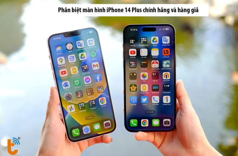 Phân biệt màn hình iPhone 14 Plus chính hãng và hàng giả
