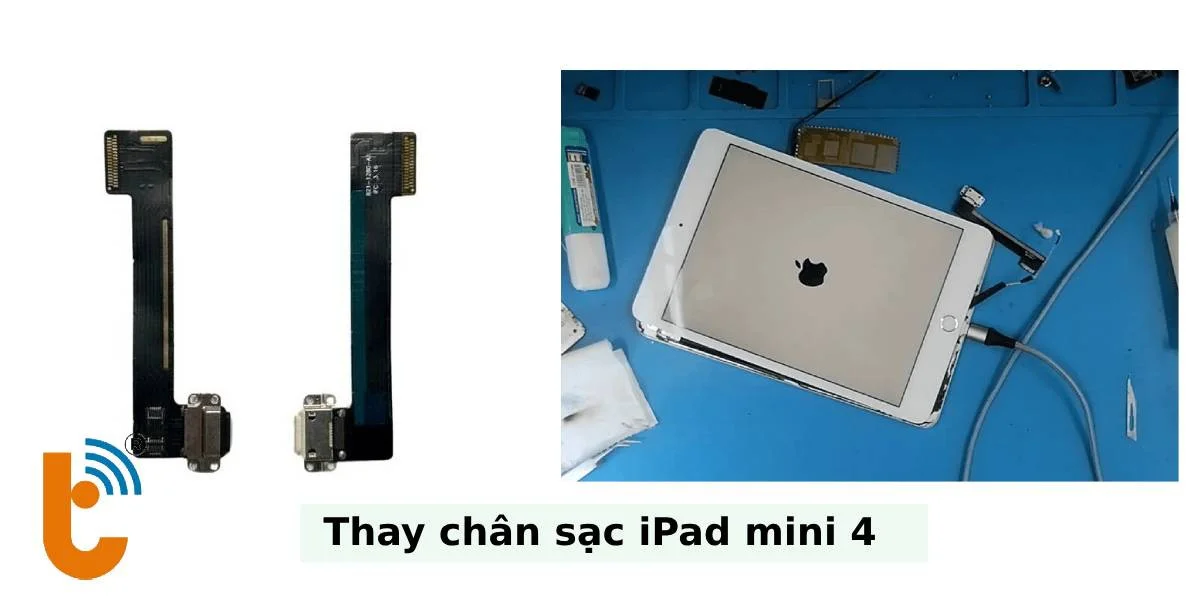 Thay chân sạc, cáp sạc - Thành Trung Mobile