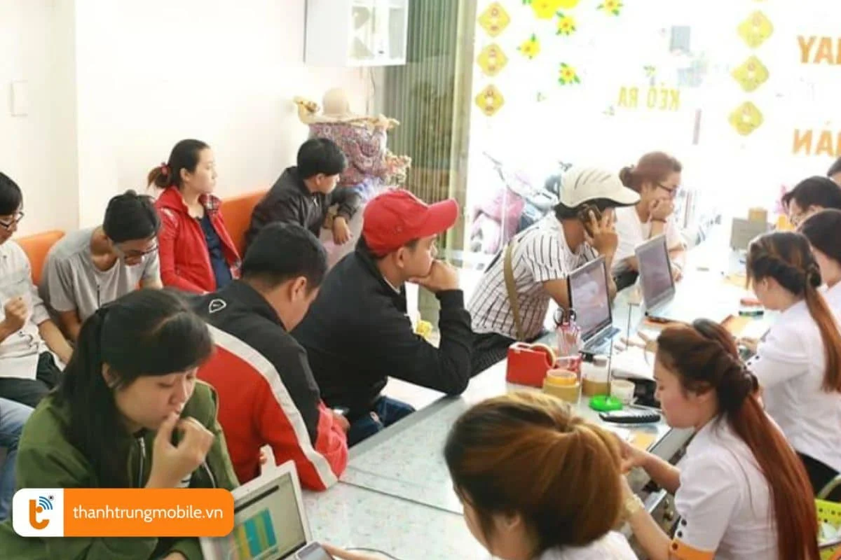 tu van dich vụ va bao gia